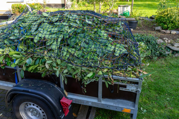 Best Recycling Services for Junk  in Picayune, MS